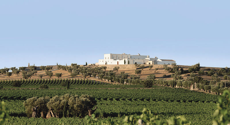 masseria-dal-vigneto_37100021314_o