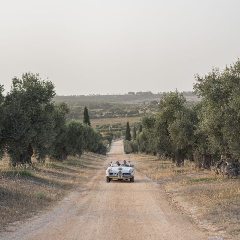 Una macchina d'epoca entra nel viale alberato di masseria Amastuola